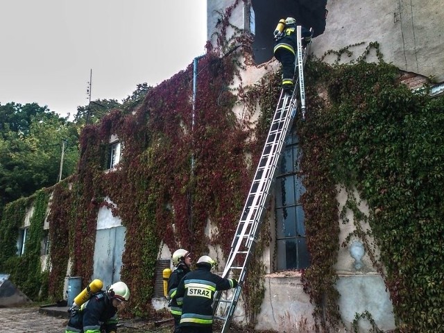 Interwencja strażaków w Roszkowicach.