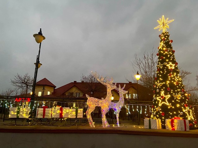 Świąteczne iluminacje opanowały Osiek. Na rynku pojawiła się piękna choinka oraz zaprzęg świetlistych reniferów ciągnących prezenty. Lampi możemy zauważyć również w innych częściach miasta.Na następnych slajdach zobaczycie, w jaki sposób Osiek został przystrojony na święta. Jest pięknie!>>>