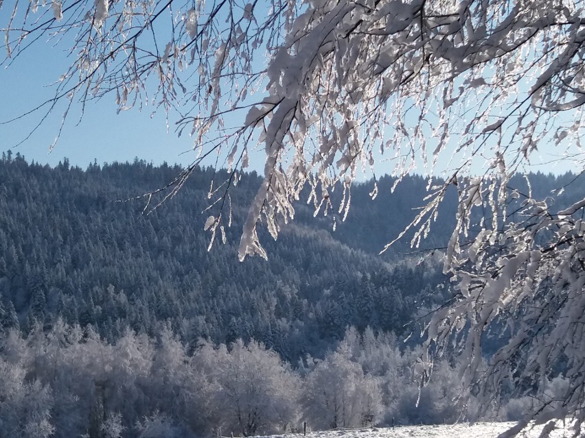 Jak pokazują ostatnie lata, pogoda w styczniu może być...