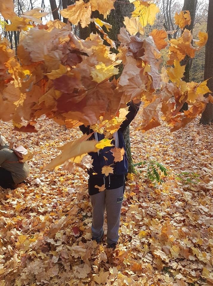 Tak pięknie wygląda jesień na waszych zdjęciach [GALERIA]