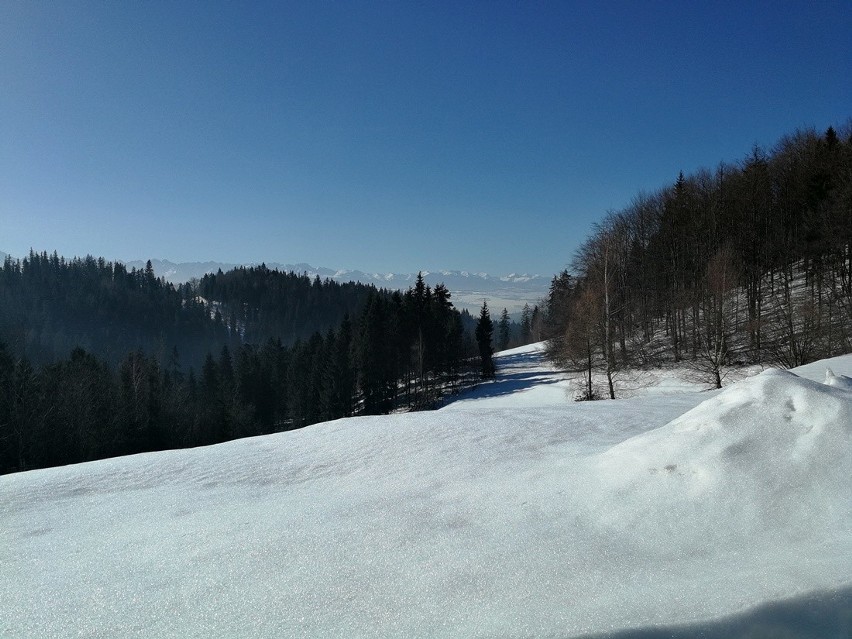 Turbacz zimą z bajecznymi widokami na Tatry. Na szlaku nie brakuje turystów [ZDJĘCIA]