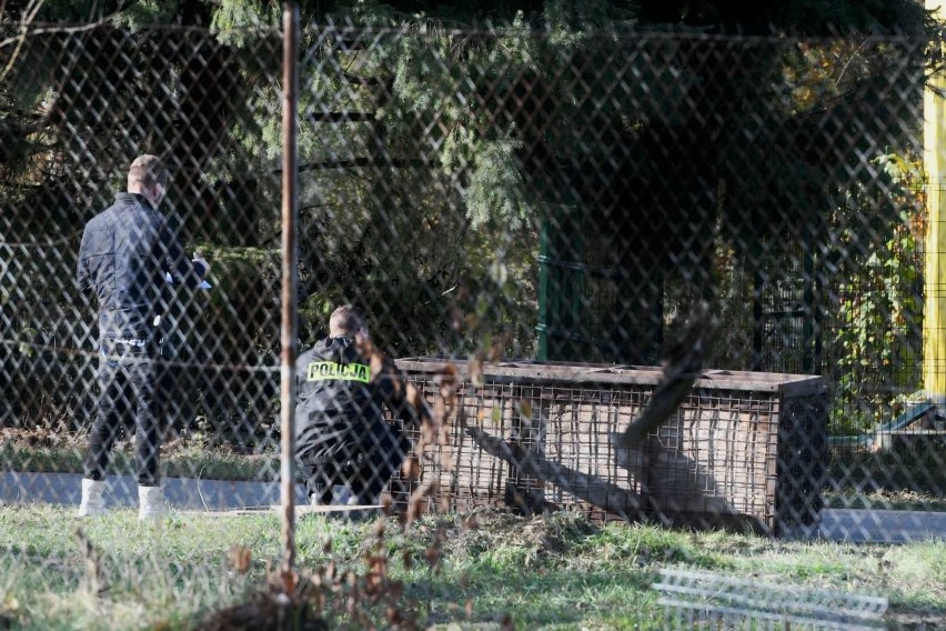 - Antyterroryści strzegą bezpieczeństwa, wszystko przebiega...