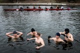 Noworoczny trening bydgoskich wioślarzy i morsów [ZDJĘCIA]