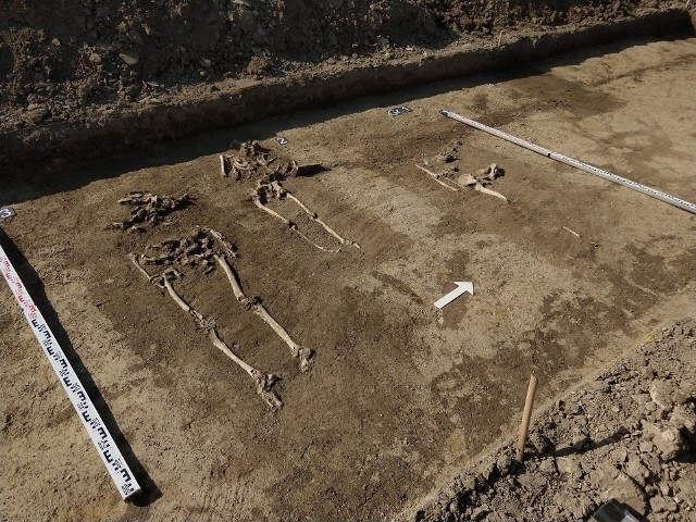 W zaoranej ziemi archeolodzy znaleźli setki fragmentów ludzkich kości. Głębiej odkryli cztery szkielety