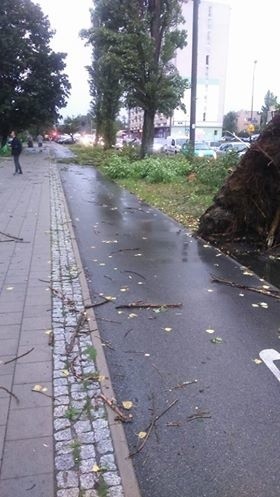 Burza w Łodzi. Nawałnica nad Łodzią. Powalone drzewa, gałęzie na drogach, zalane ulice [ZDJĘCIA]