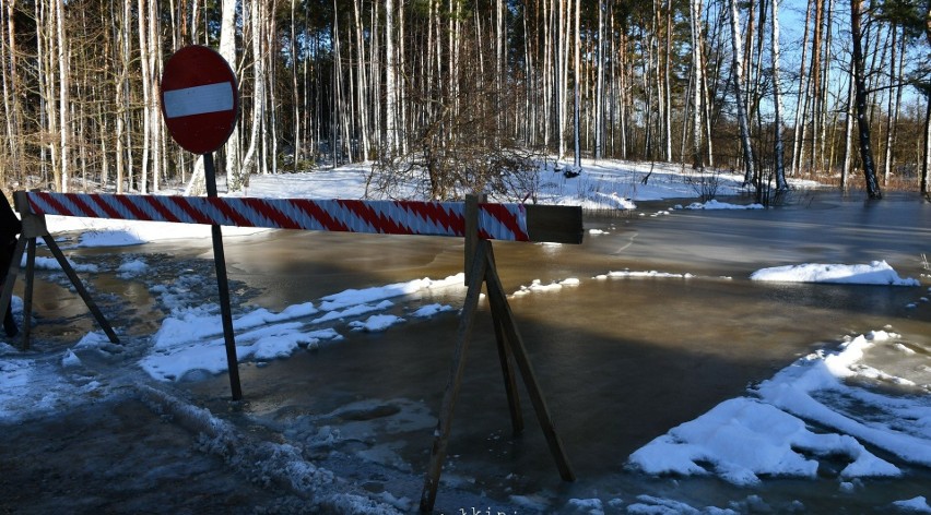 Wysoki stan wody w Bugu. Woda zalała kilka dróg i posesji w gminie Małkinia Górna. 16.01.2024 ogłoszono stan alarmu przeciwpowodziowego