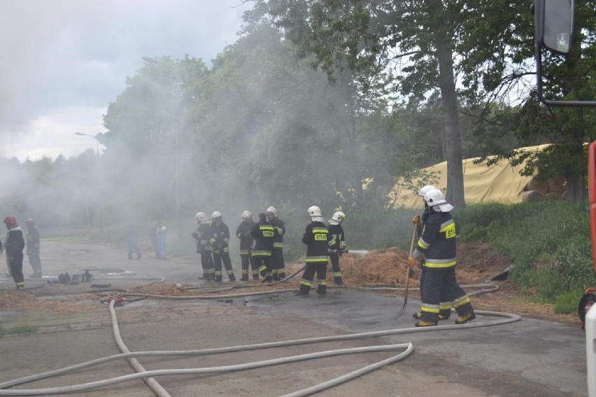 Pożar w Szamocinie. Płonęła ferma drobiu