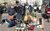 Pchli targ na targowisku miejskim w Grudziądzu. Wielu sprzedających i kupujących. Zdjęcia