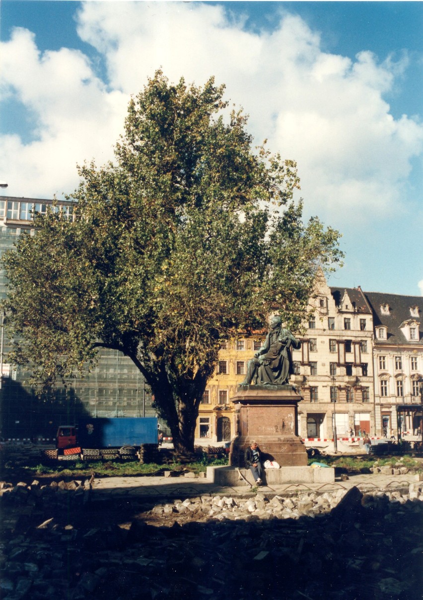 Ścisłe centrum Wrocławia w latach 90. XX wieku. Drzewo...