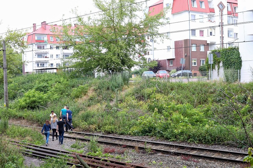 Szczecińska Kolej Metropolitalna. Zastanawiają się, gdzie zrobić przejścia przez tory