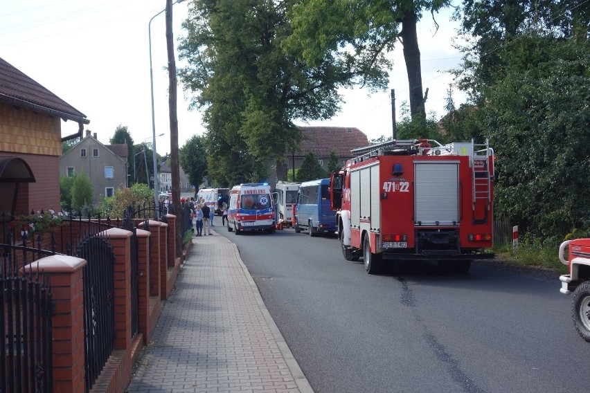 Wypadek w Zarębie pod Lubaniem. Autobus wjechał w drzewo, 22 osoby ranne 