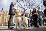 Za nami pierwszy happening w ramach akcji "Pachnąca Wiosna". Kolejny - 24 kwietnia! [ZDJĘCIA]