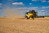 Rynek zbóż i ceny w Polsce zależą od zbiorów na świecie. Sytuacja u progu sezonu 2020/2021