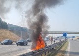 Samochody w ogniu na autostradzie A1 w Łódzkiem. Uważajcie poczas wakacyjnych podróży ZDJĘCIA