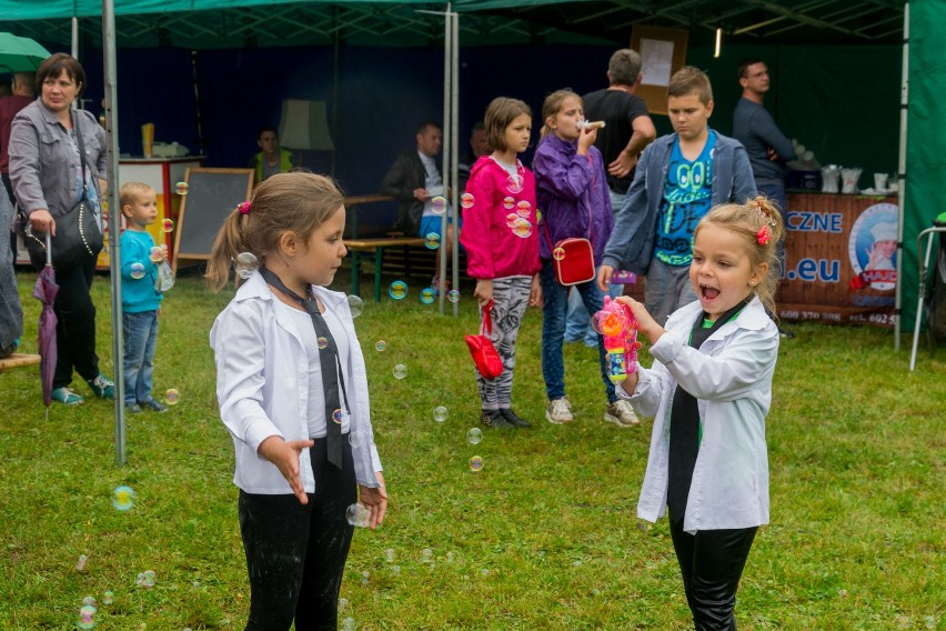 Gry, zabawa i koncerty w Wesołej