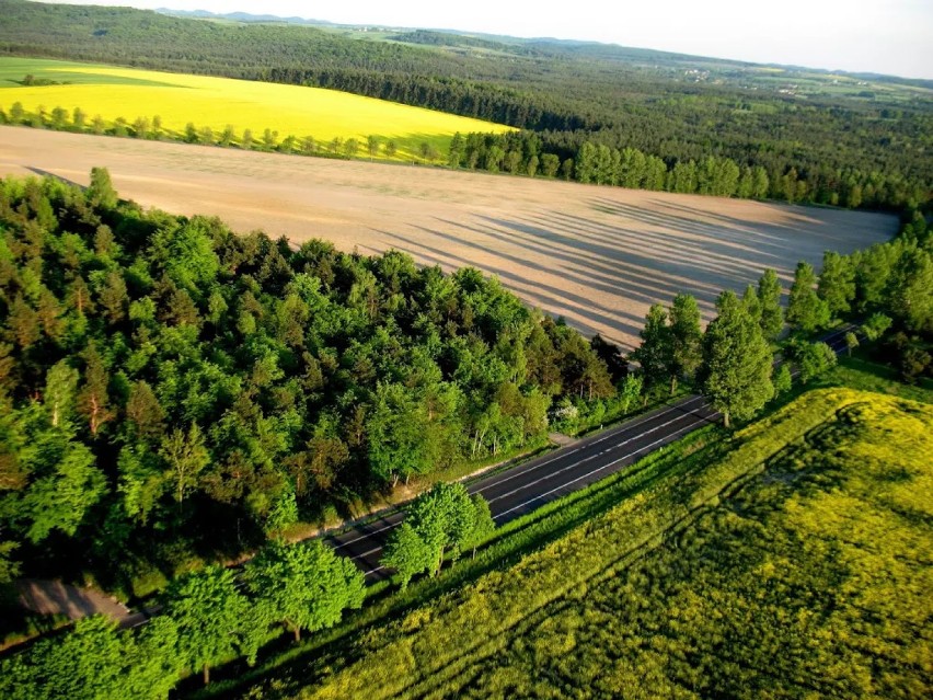 Jura Krakowsko-Częstochowska z lotu ptaka [ZDJĘCIA]