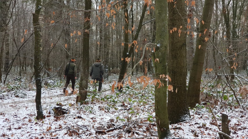 Myśliwy postrzelił kolegę podczas polowania w lesie niedaleko Olszowej pod Strzelcami Opolskimi