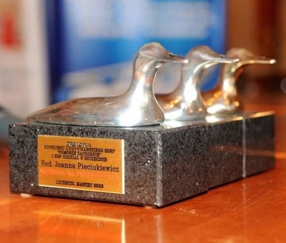 Rywalizacja dziennikarska odbywała się w 3 kategoriach: Dziennikarza Roku 2012, Debiutu Roku oraz Nagrody Specjalnej im. red. Bogdana Czubasiewicza. Czwartą kategorią stanowi Nagroda Dziennikarzy.