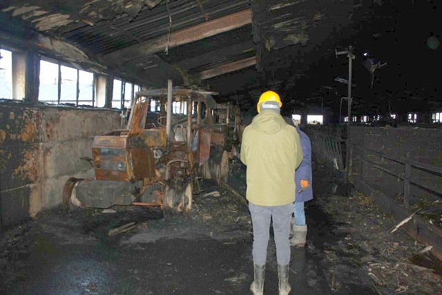 Wnętrze spalonego budynku inwentarskiego w podmogileńskich Bielicach.