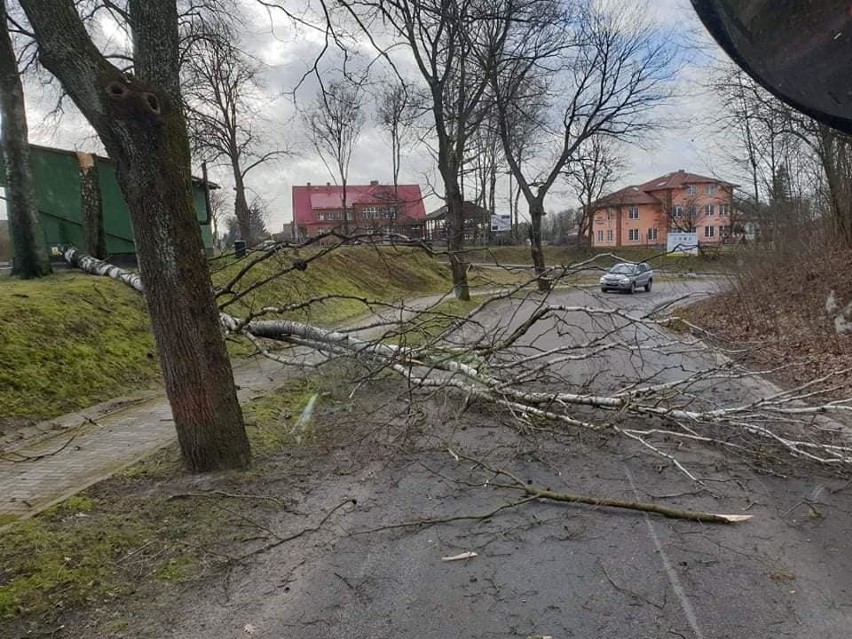 Noc z piątku na sobotę była bardzo wietrzna. Sobota...