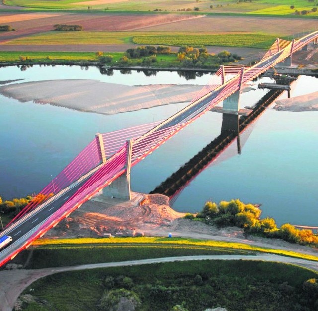 Minogi "zablokowały" kiedyś budowę mostu przez Wisłę