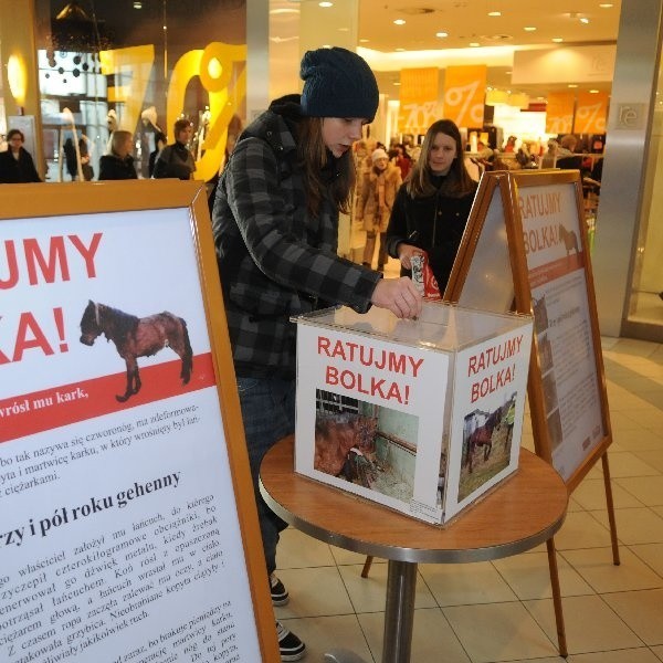 Akcja "Ratujmy Bolka" powiodła się. Dokładną kwotę zebraną w Galerii Pomorskiej podamy we wtorek