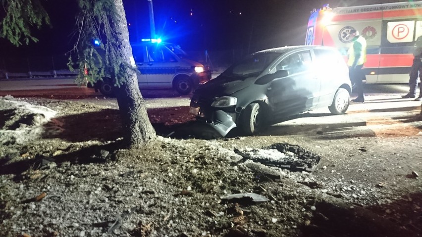 Nowy Targ. Auto wjechało w drzewo. Kierowca trafił do szpitala [ZDJĘCIA]