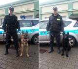 Sara i Aslan – nowe psy policyjne rozpoczęły szkolenie w Szczecinie 