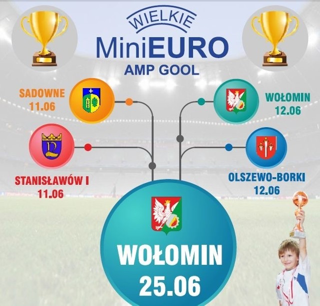 Najlepsi wystąpią w Wielkim Finale Mini Euro 2016 w Wołominie.