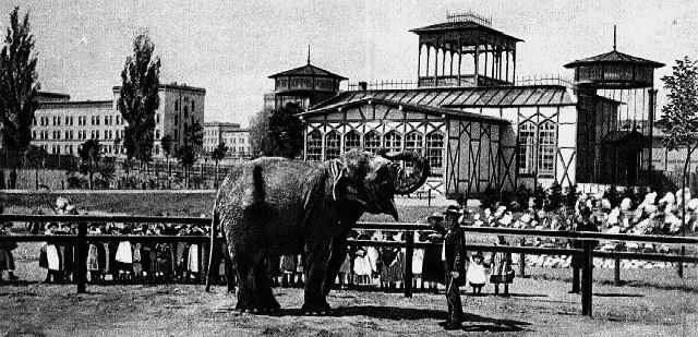 Początek Starego Zoo miał miejsce w ogrodzie, nieopodal restauracji przy dworcu kolejowym