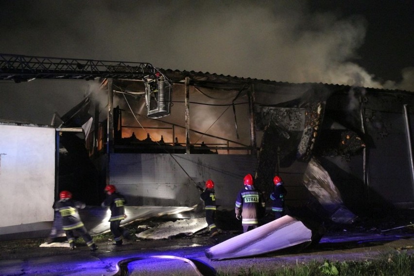 Wrocław: Pożar przy Krzywoustego. Spłonęła hala do squasha (FILM, ZDJĘCIA)