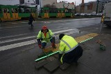 ZDM Poznań montuje świecące listwy przed przejściem dla pieszych na Garbarach [ZDJĘCIA]