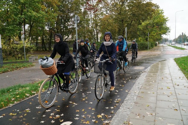 Rower jest w Poznaniu bardzo popularnym środkiem transportu - trwa badanie klimatu rowerowego w mieście