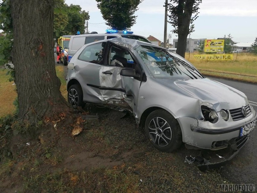 Pogotowie ratunkowe udzieliło pomocy jednej osobie. Na...