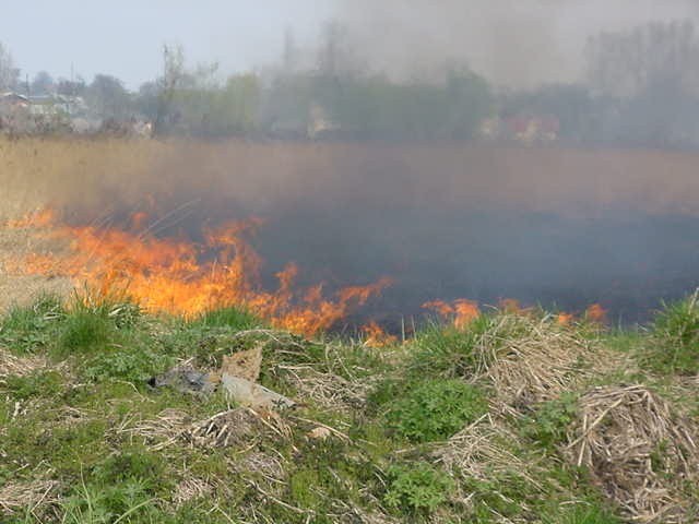 Pożar podproszowickich łąk w kwietniu 2002 roku