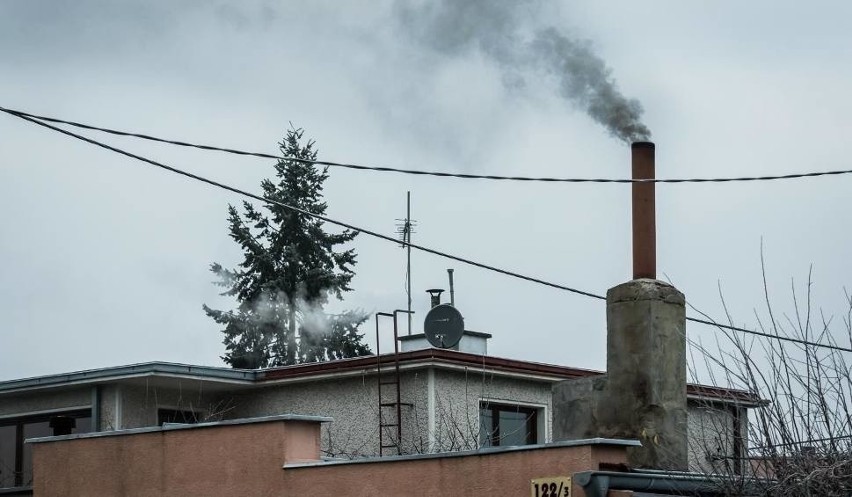 - Gdy jakość powietrza w Toruniu spada komunikacja miejska...