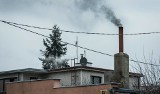 Smog w powietrzu to komunikacja za darmo – to propozycja radnego