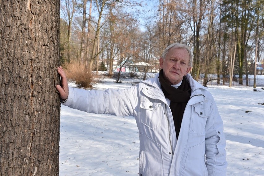 Nowy Sącz. Setki drzew w Parku Strzeleckim idą pod topór. Część można ocalić
