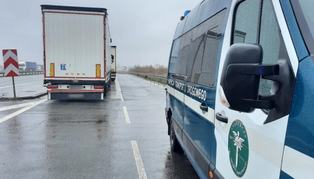 Miał ponad 3 promile alkoholu w wydychanym powietrzu i przewoził blisko 19 ton ładunku z Białorusi do Niemiec. Pijanego kierowcę rosyjskiej ciężarówki zatrzymał do rutynowej kontroli drogowej patrol mazowieckiej Inspekcji Transportu Drogowego.