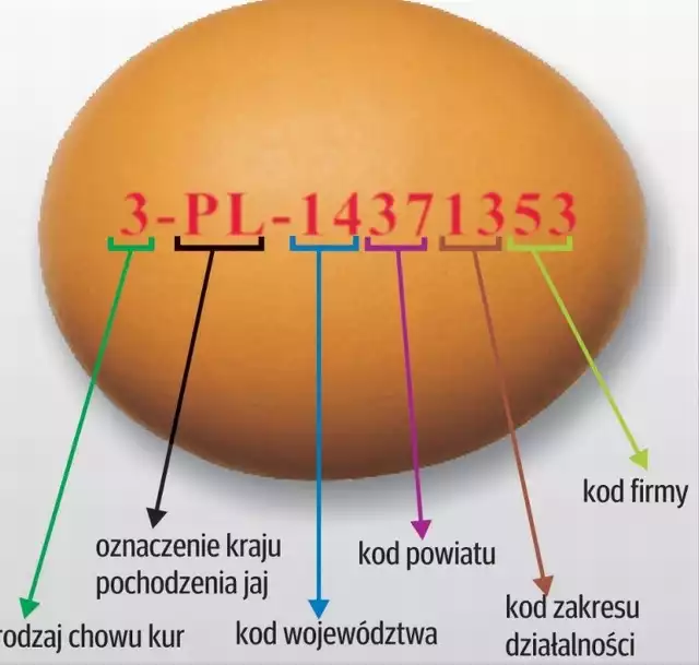 Kod, który jest używany do dokładnego określania pochodzenia jaj, składa się z jedenastu cyfr i liter. Oznaczają one sposób chowu kur, kraj pochodzenia oraz dane wskazujące fermę, z której jaja pochodzą.