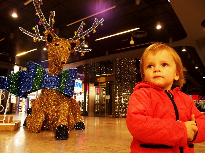 Nowy Sącz. Galeria Handlowa Trzy Korony gotowa do otwarcia