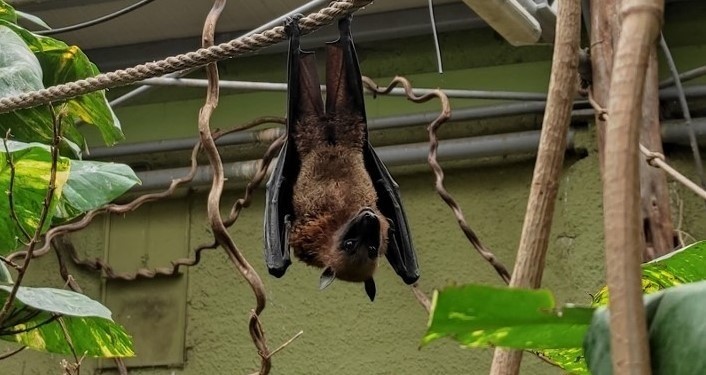 Zapraszamy na spacer po wrocławskim ZOO. Na kolejne slajdy...