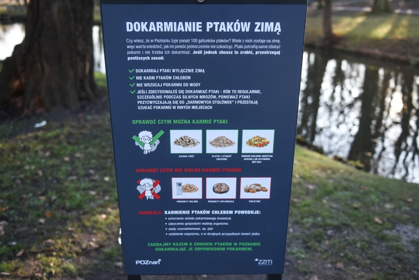 Pierwszy kaczkomat w poznańskim parku