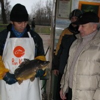 Zdzisław Sadowski (z prawej) kupował wczoraj karpie w ełckim gospodarstwie rybackim. Obok sprzedawca Marek Gruszka.