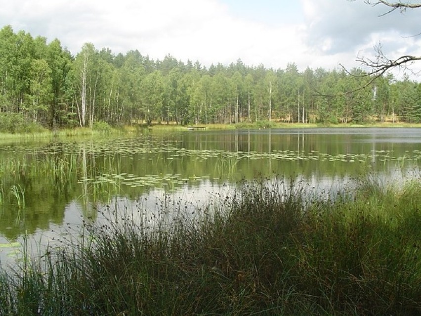 Lipusz - Wdzydze - długość 20 km, oznakowana za pomocą...