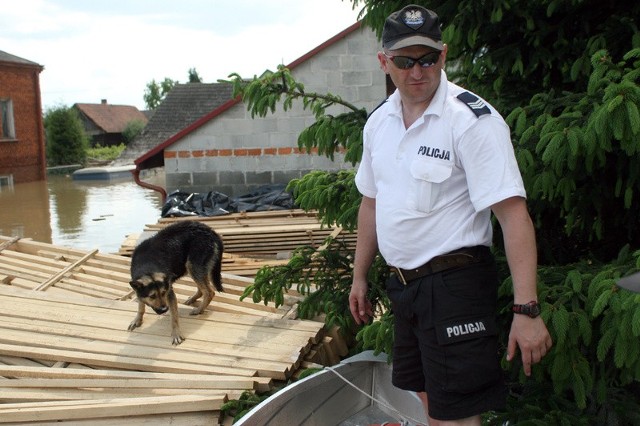 Sierżant sztabowy Artur Napieracz wyciągnął wyczerpane zwierzę na pokład motorówki. Funkcjonariusze przewieźli psa w bezpieczne miejsce &#8211; na stertę drewna, gdzie nie będzie mu grozić zatonięcie.