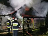Pożar w Karczewku. Palił się domek letniskowy. Zobacz zdjęcia i film