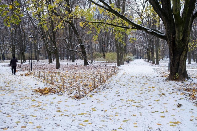 Mamy długoterminową prognozę pogody do 1 listopada. Co nas czeka?Jak się okazuje do Polski i regionu wkrótce wkroczy niż, którzy przyniesie spore ochłodzenie, a nawet... opady śniegu!O szczegółach piszemy na kolejnych stronach ----->
