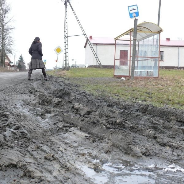 Przez takie błotne koleiny trzeba się przedrzeć na przystanku w Woli Wiśniowej, żeby wsiąść do autobusu.