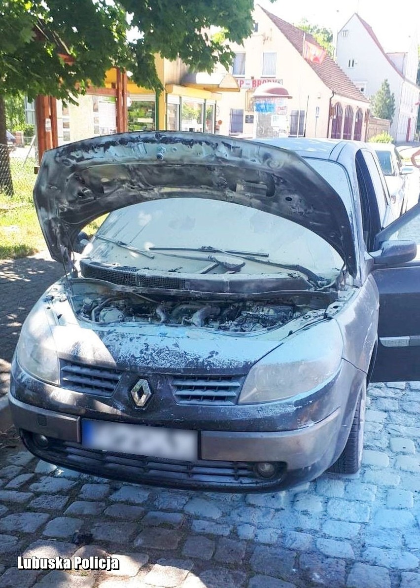 O dużym szczęściu może mówić właściciel renault, któremu...